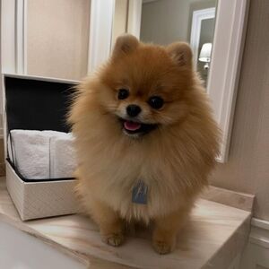 Meet your Posher, Emily